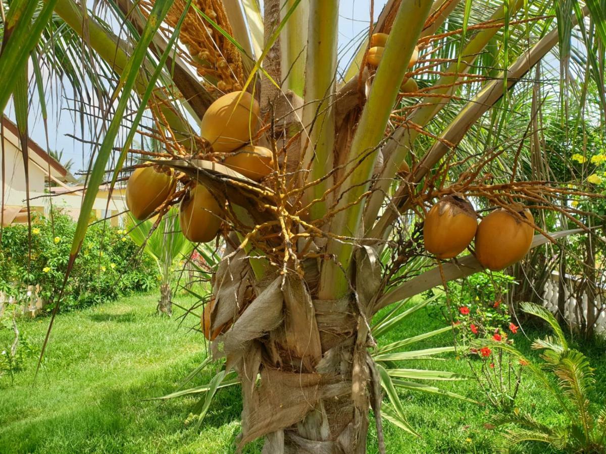 Kunta Kinteh Beach Complex Kotu Exterior foto