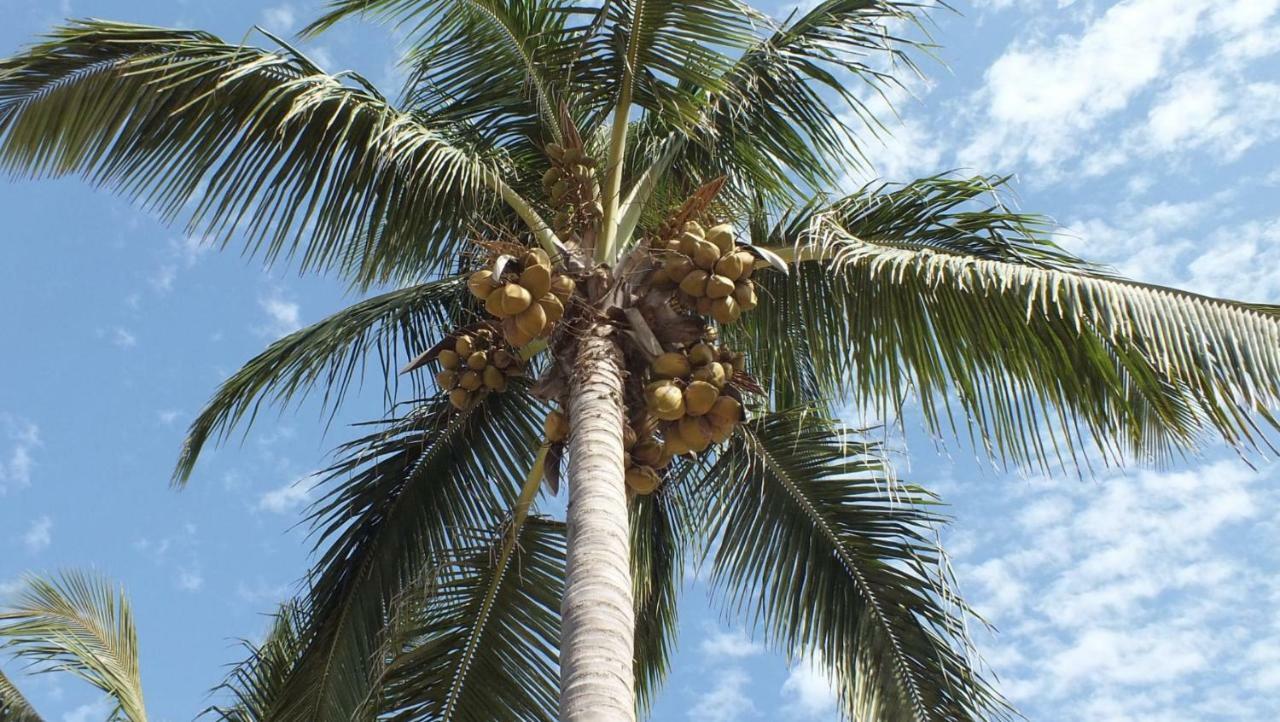 Kunta Kinteh Beach Complex Kotu Exterior foto